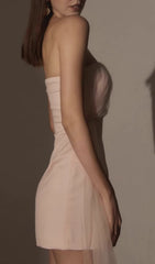 Chantoya Strapless Mesh Mini Dress