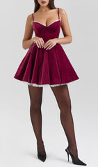 Brinda Burgundy Velvet Mini Dress