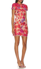 Fumiye Floral Embroidered Mini Dress