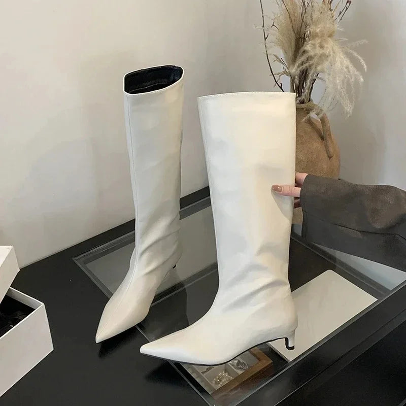 Aneikeh Autumn Street Style Sexy Pointed Toe Thin Low Heels Knee-High Boots Casual Party Shoes Long Botas Mujer