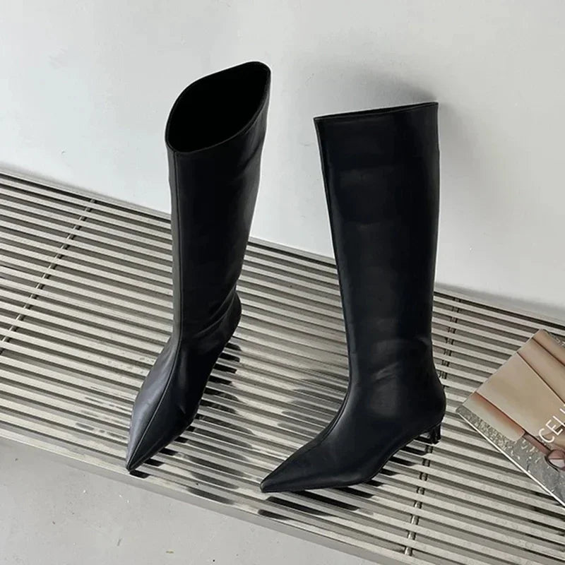 Aneikeh Autumn Street Style Sexy Pointed Toe Thin Low Heels Knee-High Boots Casual Party Shoes Long Botas Mujer