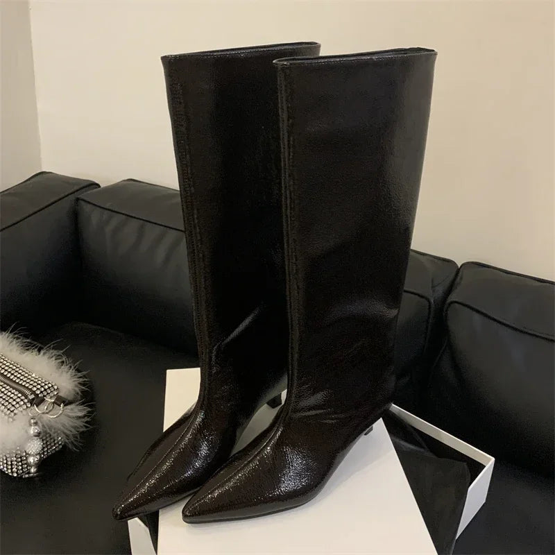 Aneikeh Autumn Street Style Sexy Pointed Toe Thin Low Heels Knee-High Boots Casual Party Shoes Long Botas Mujer