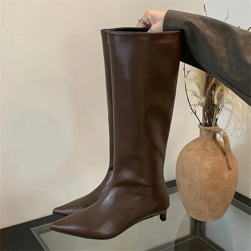 Aneikeh Autumn Street Style Sexy Pointed Toe Thin Low Heels Knee-High Boots Casual Party Shoes Long Botas Mujer