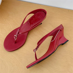 Aneikeh Designer Buckle Clip Toe Slippers Wedges High Heels Sandals Flip Flops Female Shoes