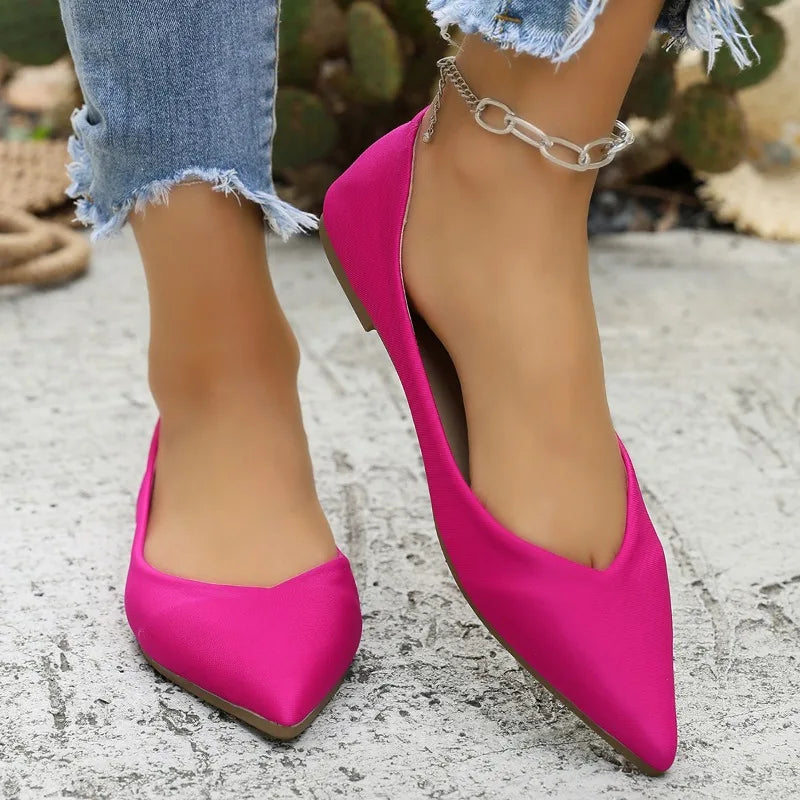 Lady Ballet Flat Shoes