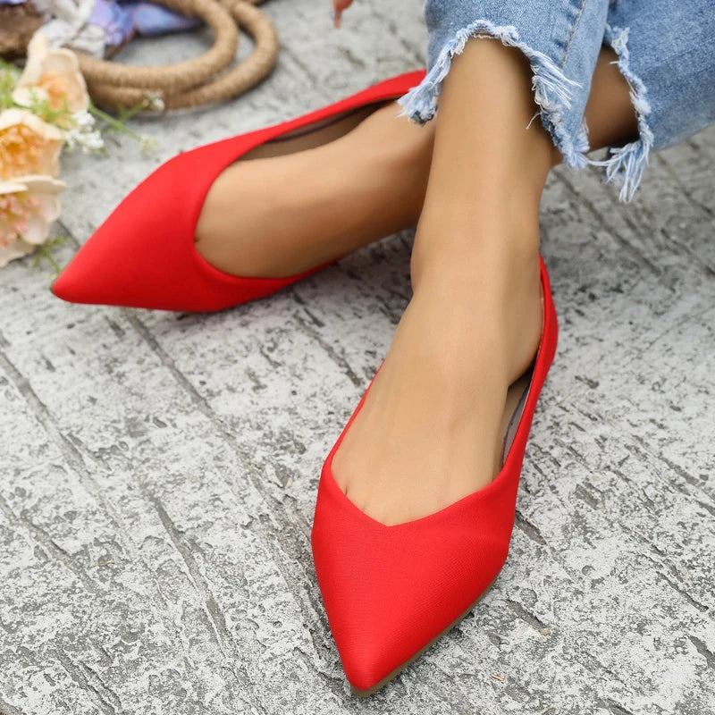 Lady Ballet Flat Shoes