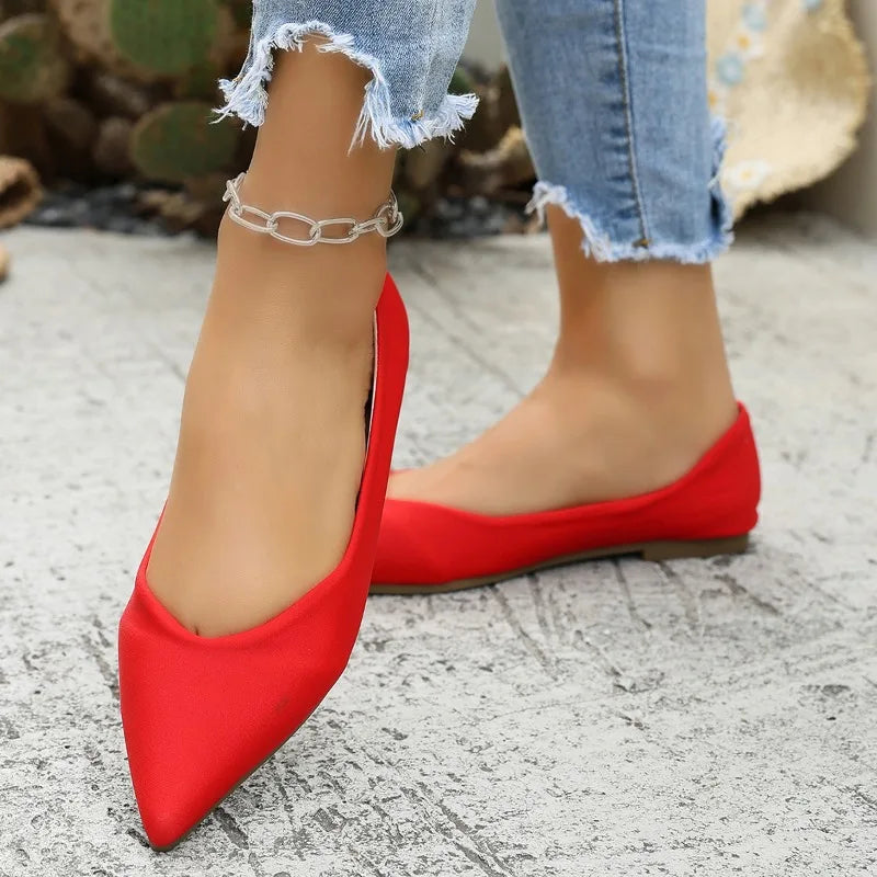 Lady Ballet Flat Shoes