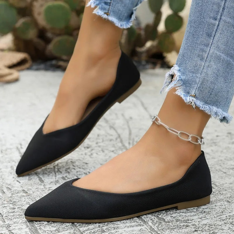 Lady Ballet Flat Shoes