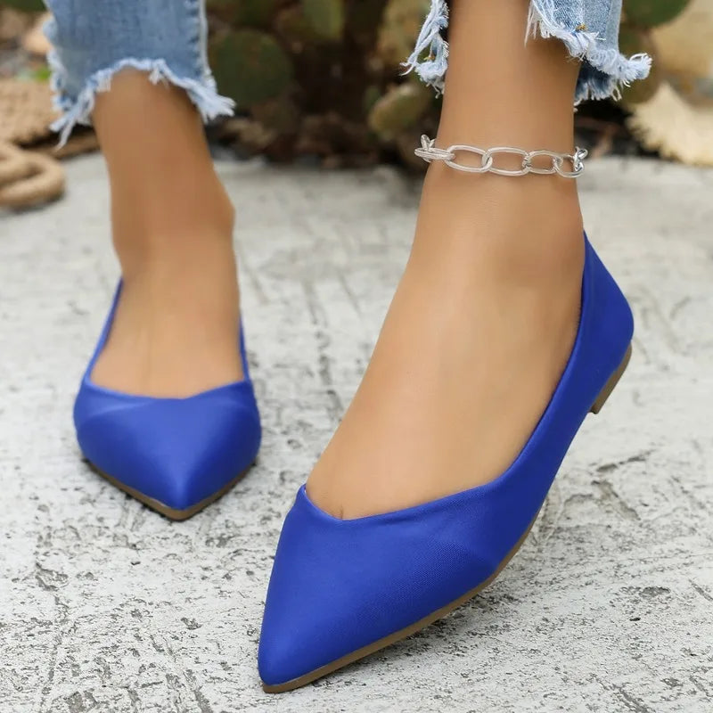 Lady Ballet Flat Shoes