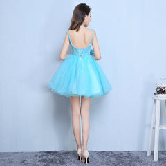 Blue Organza Mini Party Dress with Embroidery Homecoming Dress