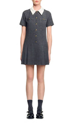 Chic Peter Pan Collar Mini Dress