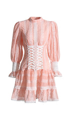 Romantic Pink Ruffle Corset Mini Dress