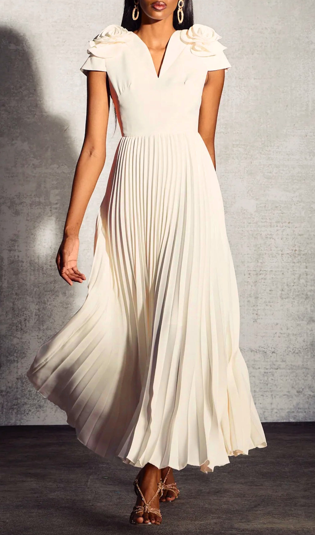 Cadhla Elegant Floral Appliqu V-Neck Pleated Maxi Dress