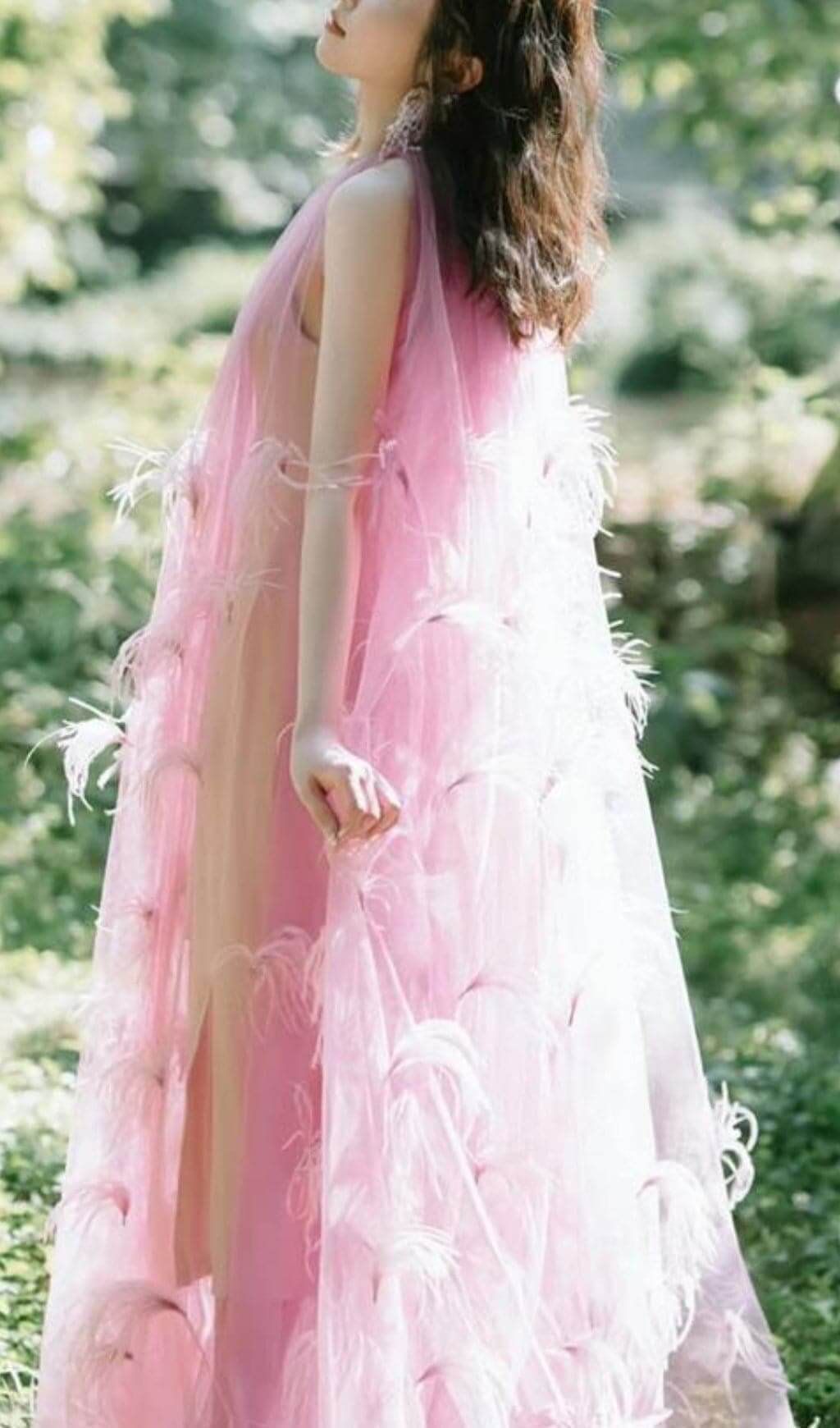 Dreamy Feather Mesh Maxi Dress