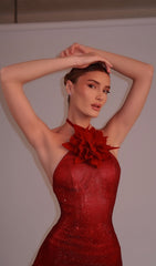 Deimena Glamorous Red Crystal Halter Maxi Gown