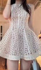 Ferdi Delicate Floral Lace Sleeveless Mini Dress