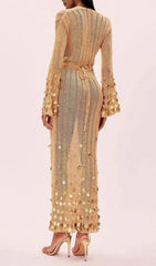 Honza Dazzling Gold Sequin Knit Maxi Dress