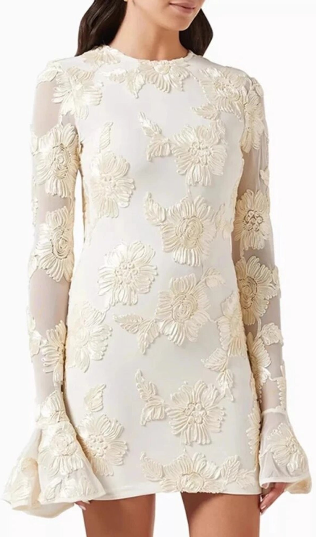 Arisa Chic 3D Floral Mesh Long Sleeve Mini Dress for Women