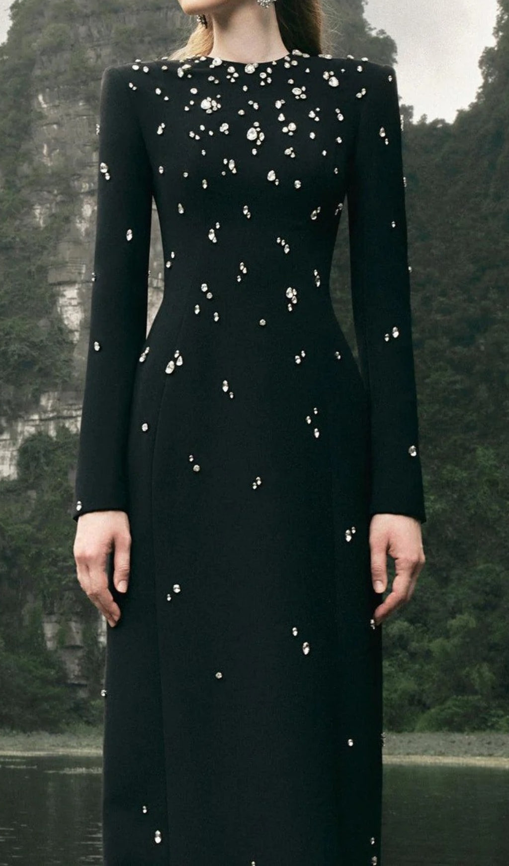 Chasen Black Crystal Embellished Maxi Gown