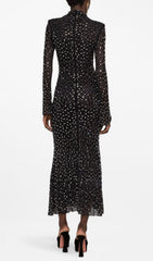 Butrus Dazzling Black Crystal Long Sleeve Maxi Dress