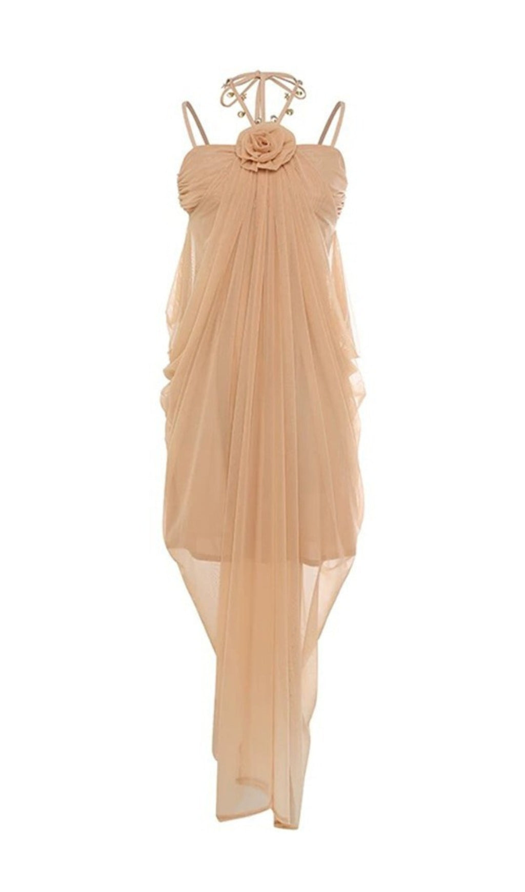 Daveed Romantic Nude Mesh Maxi Dress with 3D Floral Appliqu