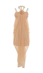 Daveed Romantic Nude Mesh Maxi Dress with 3D Floral Appliqu