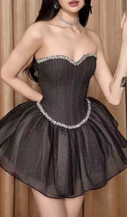 Iowa Sparkle Strapless Corset Mesh Mini Dress