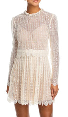 Chic Organza Lace Mini Dress